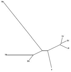 Phylogenetic tree 2 of Korean black goats and farm Crossbred