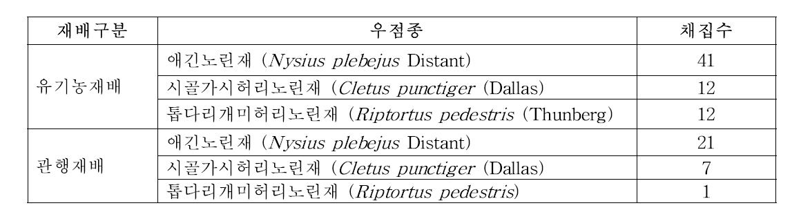 2014년 쓸어잡기에 의한 유기농재배 및 관행재배 단감원의 우점 분포 종