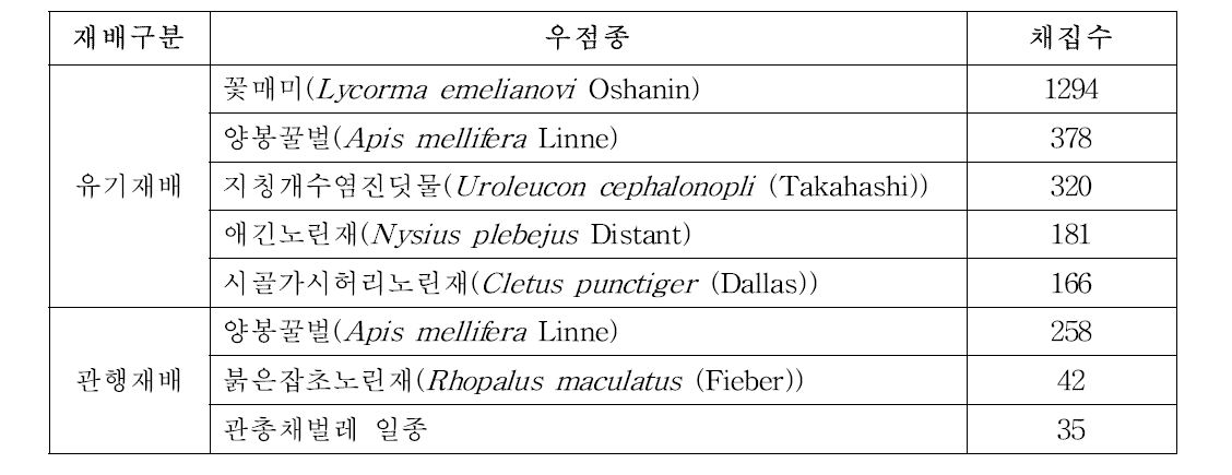 육안조사에 의한 유기농재배 및 관행재배 단감원의 우점 분포 곤충 종(2014)