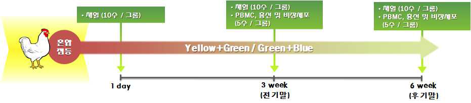 육계 LED 파장에 따른 샘플링 계획