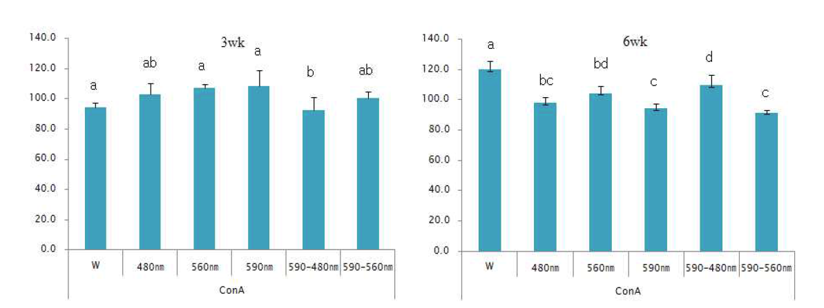 LED 조명에 따른 Cell proliferation of PBMC