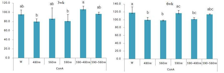 LED 조명에 따른 Cell proliferation of splenocyte