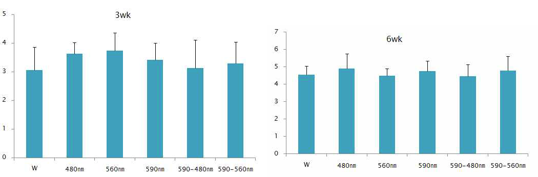 LED 조명에 따른 Nitric oxide 생성능