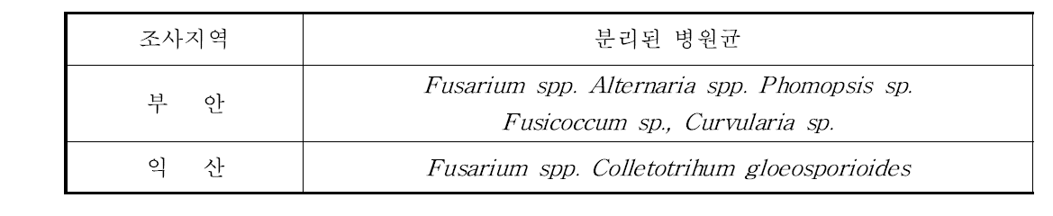 분리된 병원균 종류.