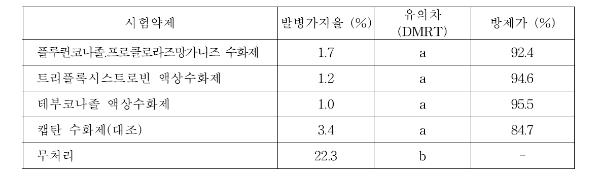 약제별 눈마름병 방제효과 검정(폿트재배).