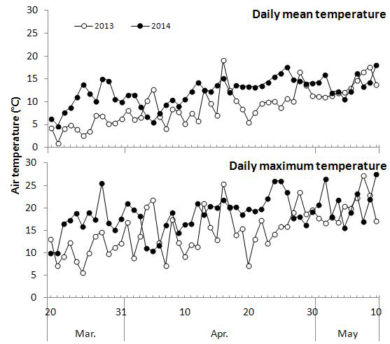 Daily mean and maximum temperature from March 20 to May 10 , at Buan in 2013 and 2014.