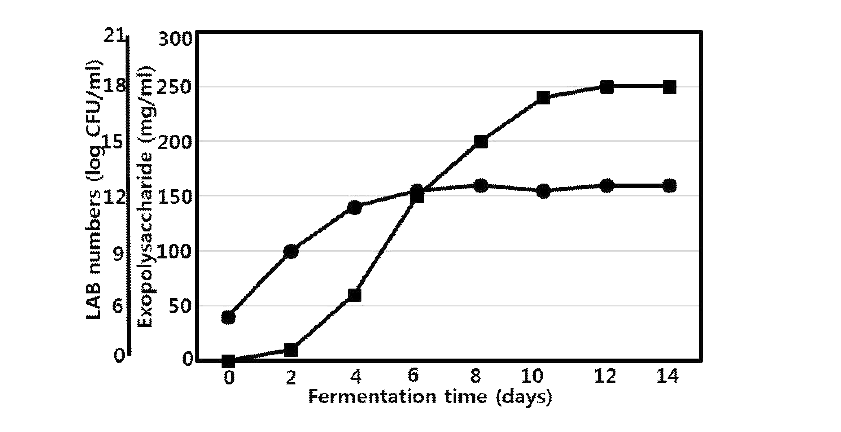 The change of LAB growth and exopolysaccharide production by Lactobacillus plantarum TO-2100 on mulberry leaves fermentation.