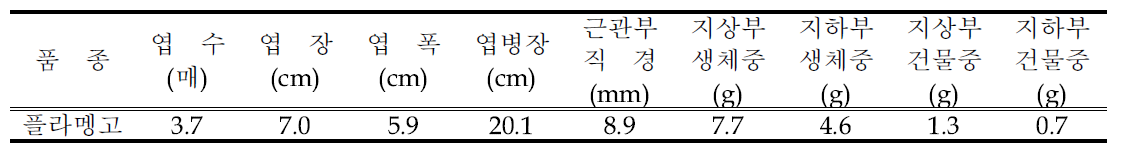 정식 전 묘소질