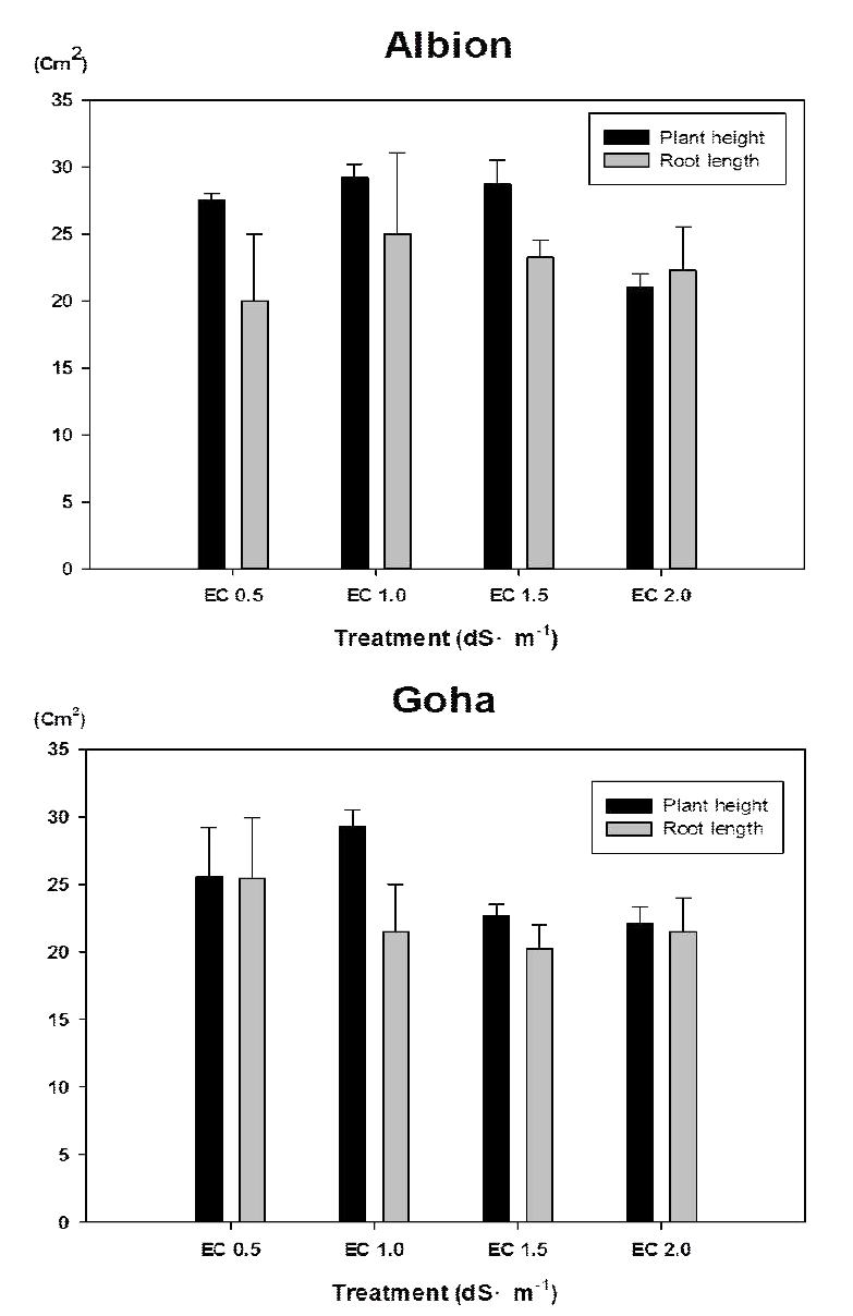 Effects of nutrient solution strength on dry weight of strawberry ‘Albion’ and ‘Goha’