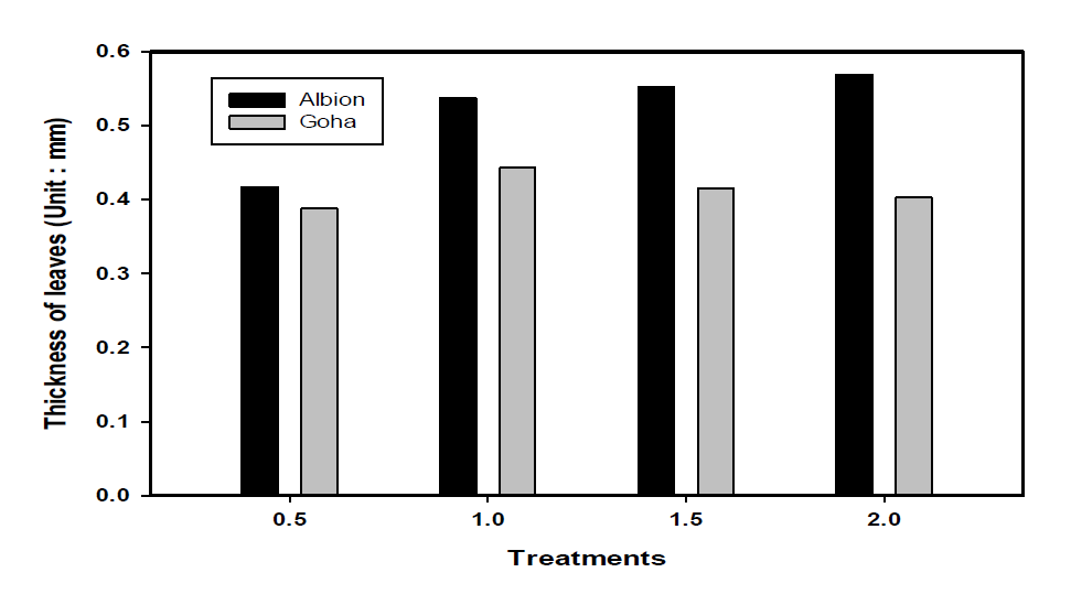 Thickness of two strawberry by treatments.