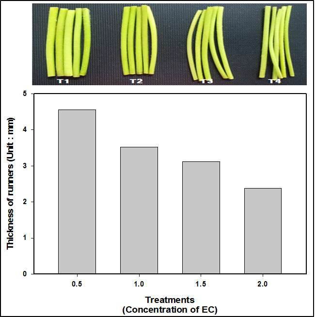 Thickness of runners of strawberry (Albion).