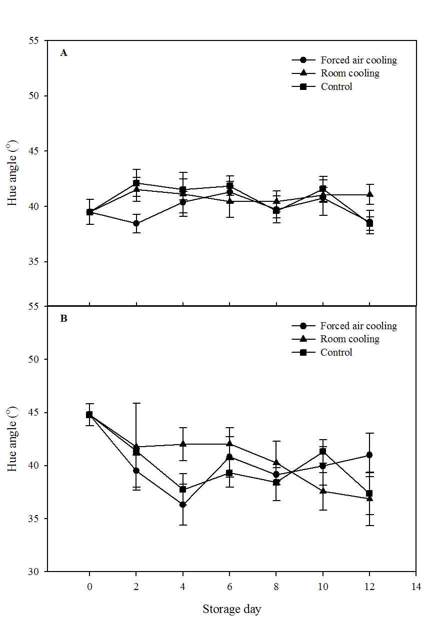 Change in hue angle of everbearing strawberries (A, Flamenco; B, Goha) during storage at low temperature (4oC). The data presented the means±SE.