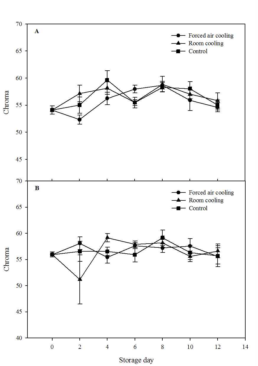 Change in chroma value of everbearing strawberries (A, Flamenco; B, Goha) during storage at low temperature (4oC). The data presented the means±SE.