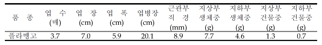 정식 전 묘소질