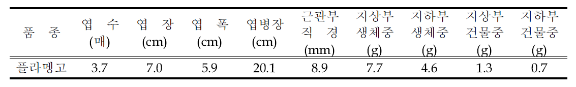 정식 전 묘소질