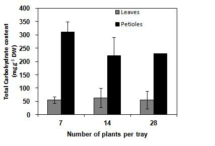 딸기 육묘용 트레이당 28주, 14주 및 7주 처리에 따른 각 기관별 전탄수화물함량