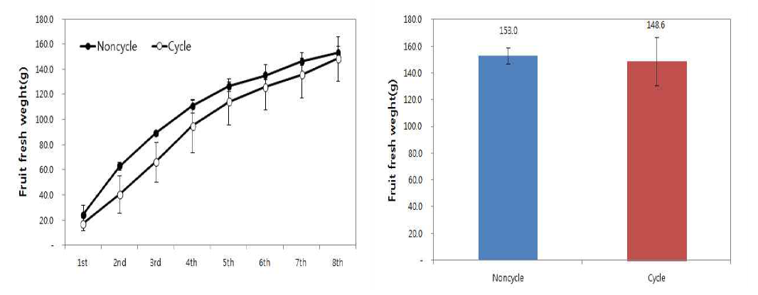 순환식 및 비순환식 처리 딸기의 누적 수확과중