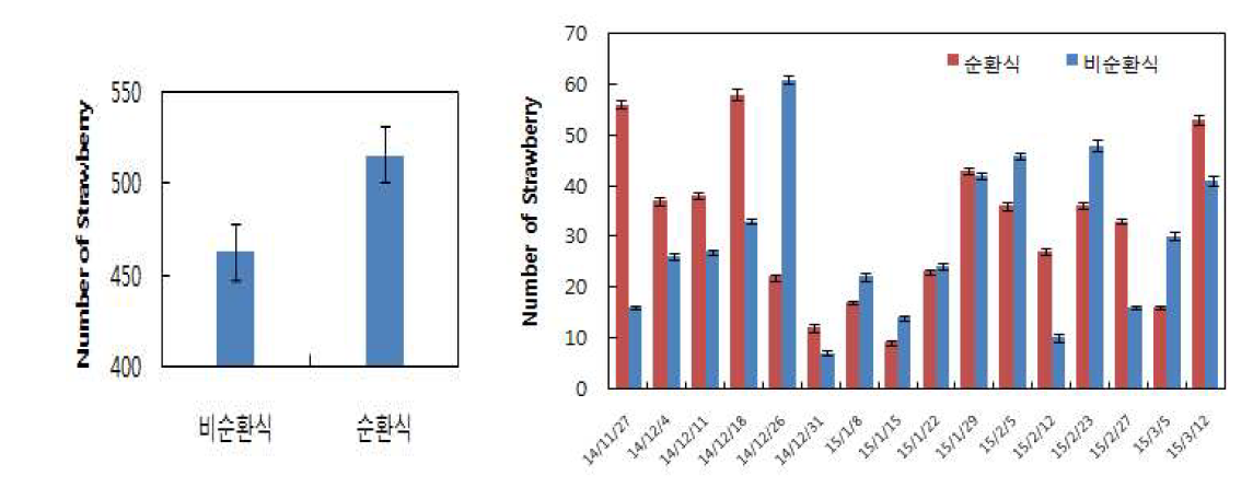 (좌) 16주간 딸기 수확과수 유의성 검정 결과, (우) 주별 수확과수