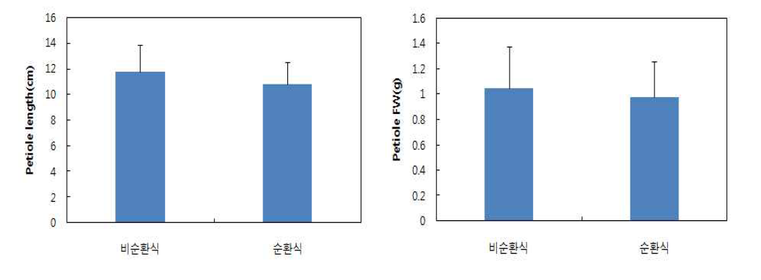 (좌) 10주간 딸기 엽병장, (우) 엽병중