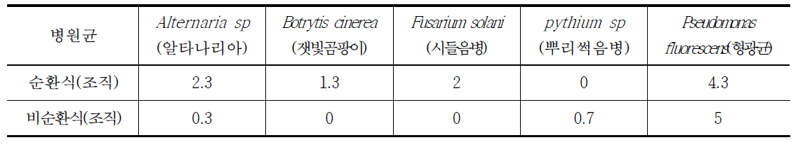 순환식 및 비순환식 처리 딸기묘의 병원균 분석 결과