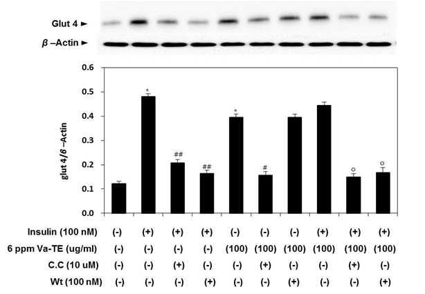 Effect of vanadium-enriched green tea extract on the translocation of Glut4.