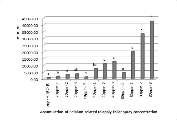 유기 세레늄 농도별 처리횟수별 엽면 시비후 찻잎의 셀레늄 누적 함량