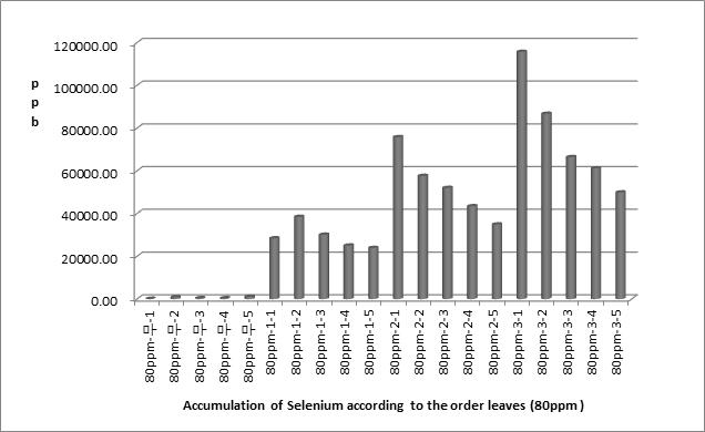 Selenium content (ppb/kg) about the numerical order of young leaves treated with 80ppm organic selenium by foliar spray (harvested on May 16). Mean values were compared with Duncan’s multiple range test at 5% level.