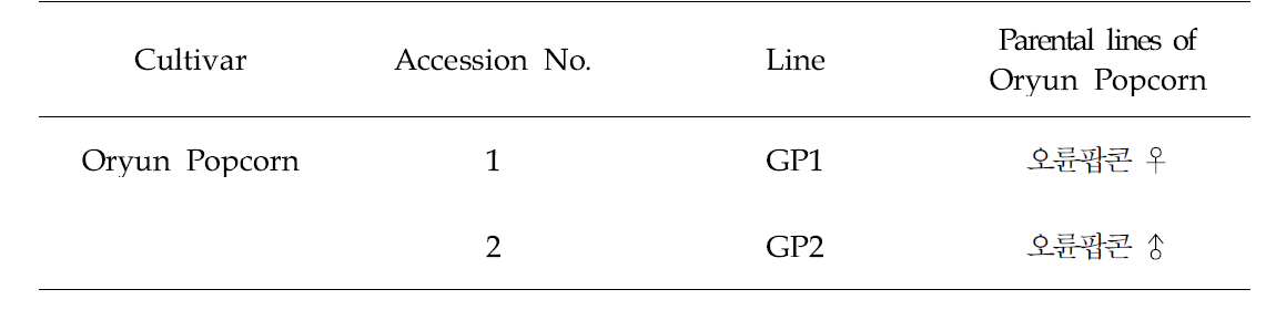 본 연구에서 분석에 이용한 오륜팝콘의 교배친 자식계통