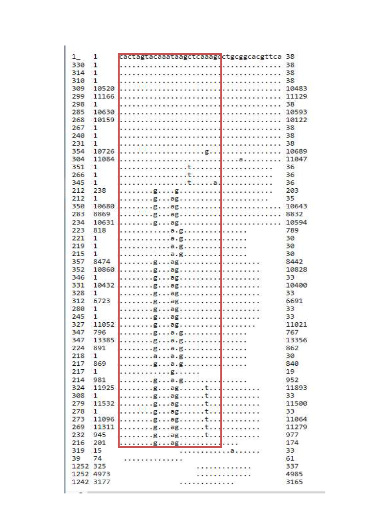 옥수수 전이인자 database로부터 얻은 CACTA 전이인자의 3’ 말단 서열들의 multiple alignment 결과. 붉은색 박스는 선발되어진 primer 지역을 나타냄.