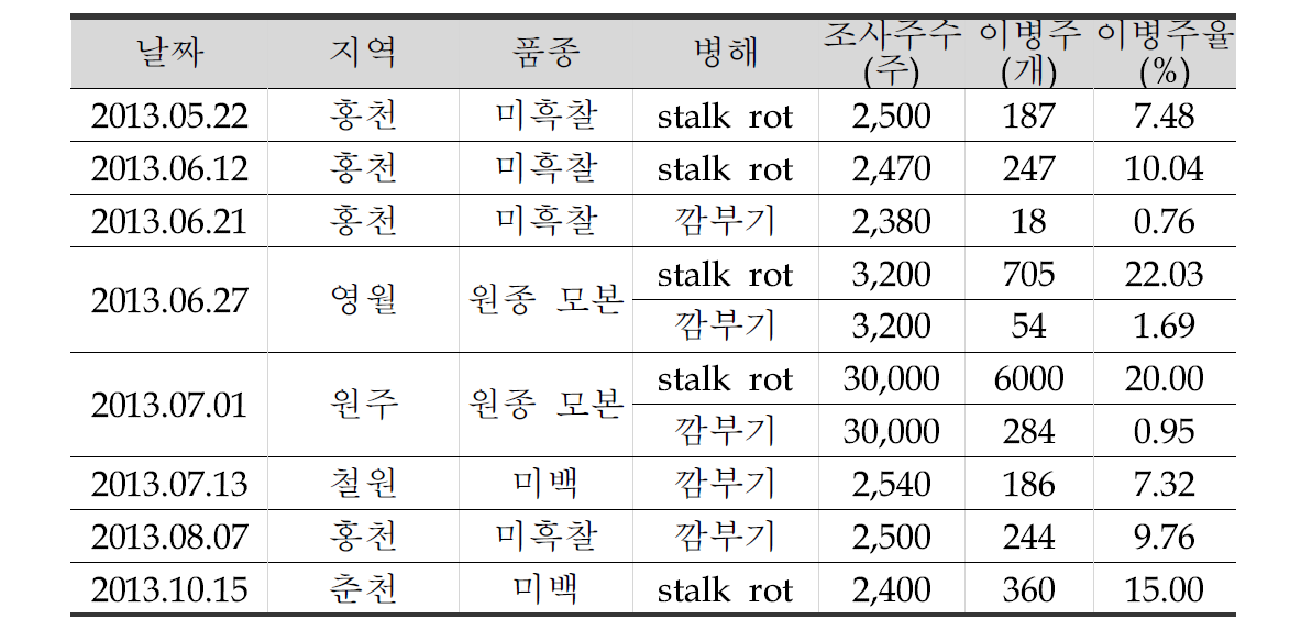 옥수수 품종들에 대한 채종지별 주요 병해 발생 조사