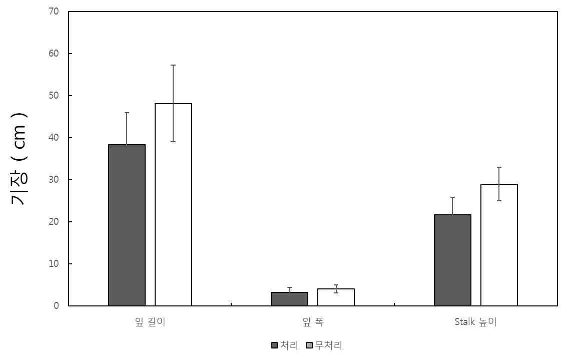 실내에서 접종된 Fusarium subglutinans 병해에 의한 엽 및 줄기의 생육차이.