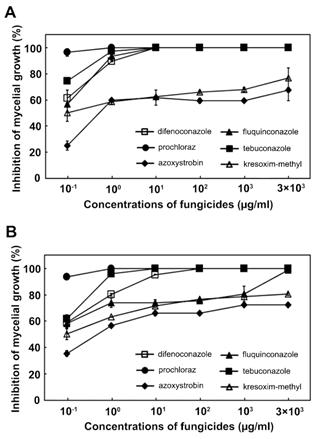 선발한 6개 농약의 농도에 따른 F. subglutinans와 B: F. temperatum의 균사생장 억제효과. (A: F. subglutinans, B: F. temperatum)