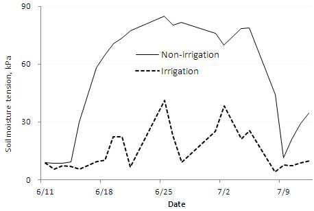 Change in soil moisture tension during irrigation withdrawal period.