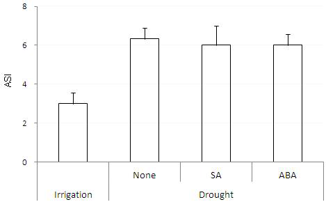 Anthesis-silking interval (ASI) affected by drought stress and application of salicylic acid (SA) and abscisic acid (ABA). Error bars indicate standard deviation.