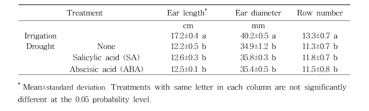 Ear characteristics affected by drought stress and application of salicylic acid (SA) and abscisic acid (ABA).