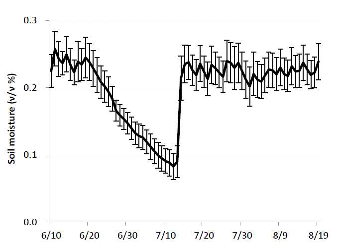 Change in soil moisture content during the experimental period. Irrigation was withdrawn from June 21 to July 12. Error bars indicate standard deviation.