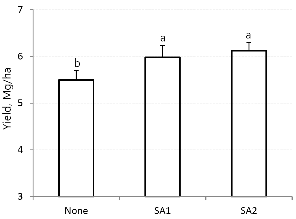 Yield of waxy corn treated by foliar application of salicylic acid (SA). SA1 and SA2 denote pre-treatment of salicylic acid at 7-leaf and 10-leaf stage, respectively. Error bars indicate standard deviation.