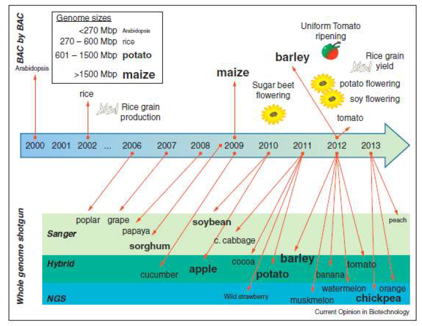 Crop and plant genomes