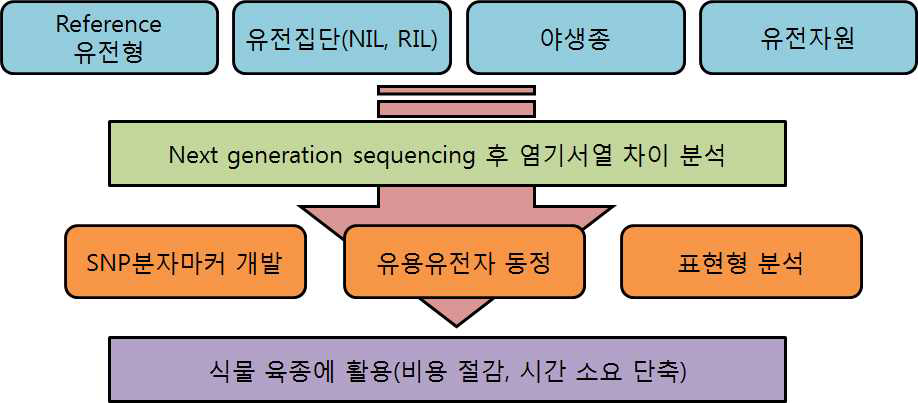 작물 유전과 육종과 관련된 NGS의 응용