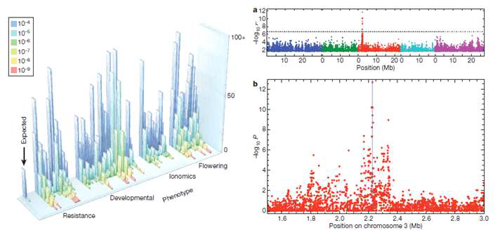 Arabidopsis에서 각 표현형에 대한 P-value Thresholds 값과 AvrRpm1 의 HR에 대한 Genome-wide association study (GWAS)