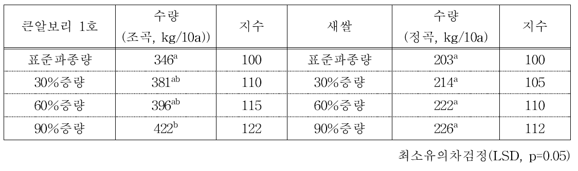 파종량에 따른 수량성