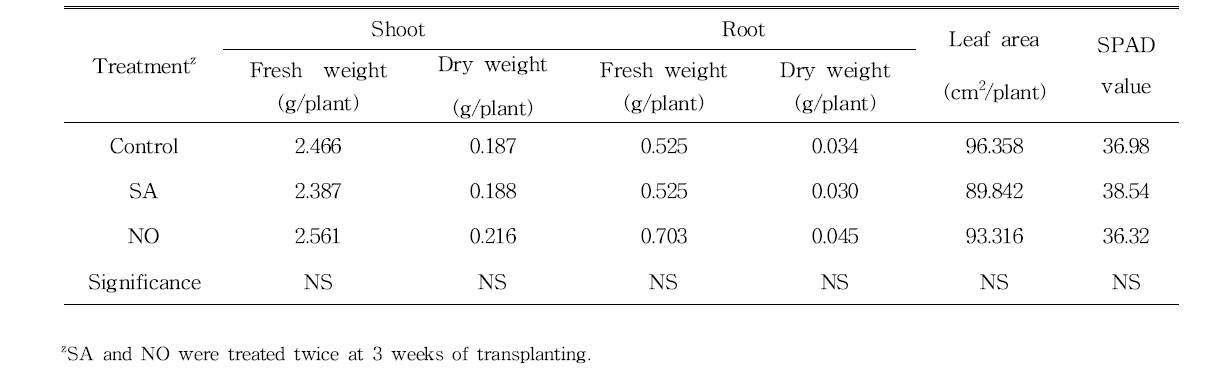 Growth characteristics of pepper plants treated with SA and NO at 4 weeks of transplanting (n=5).