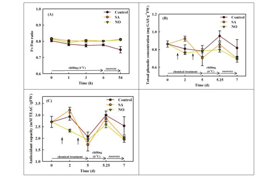 화학적 elicitor 처리 후 저온 스트레스에 노출 시킨 고추 묘의 엽록소 형광 값(A), 총 페놀화합물의 농도(B), 그리고 항산화도(C)
