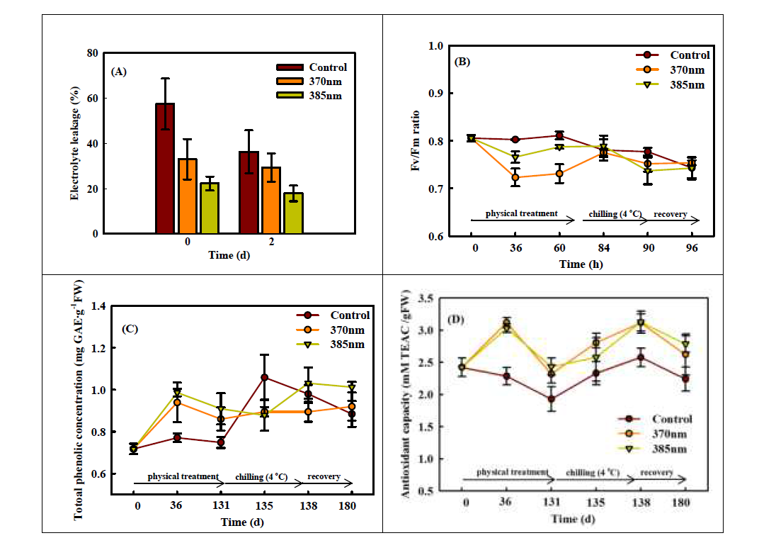 UV-A LED 370nm와 385nm 조사 후 저온에 노출 시킨 고추 묘의 세포붕괴도(A), 엽록소 형광 값(B) 및 총페놀화합물(C)