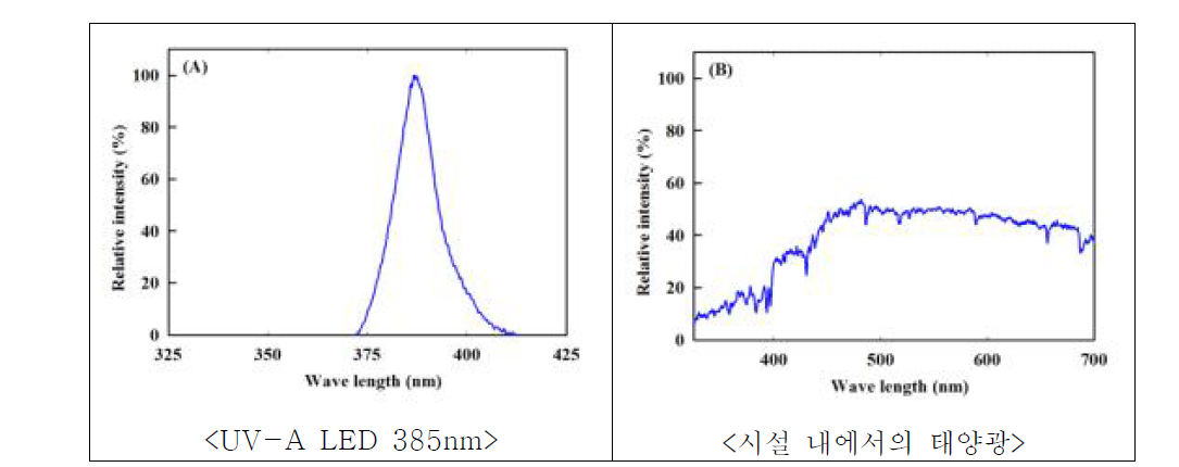 UV-A LED 385nm(A)의 광 스펙트럼과 시설 내에서 태양광의 광스펙트럼(B)