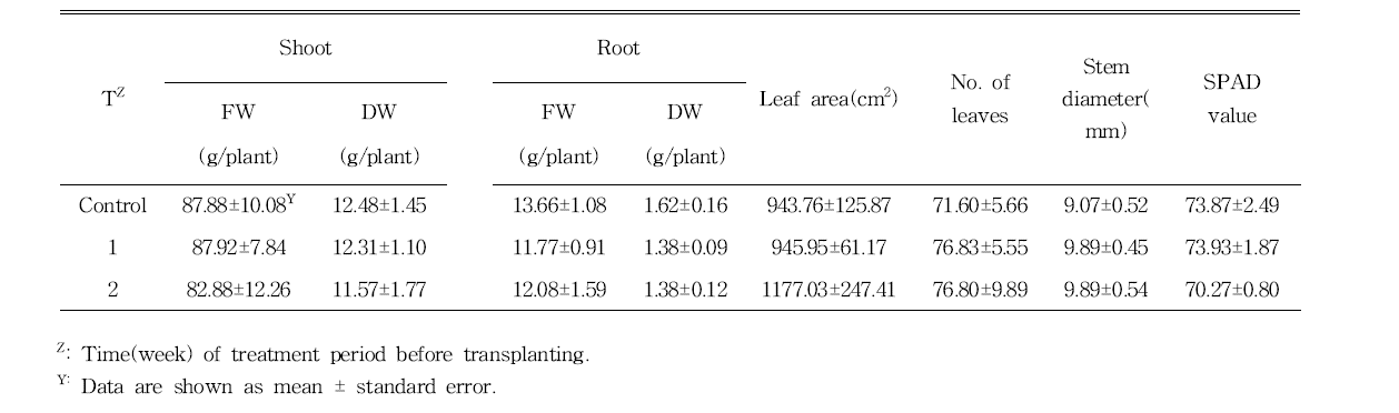 Growth characteristics and SPAD value of pepper plants treated with UV-A LED(385nm) at 36 days of transplanting (n=5).