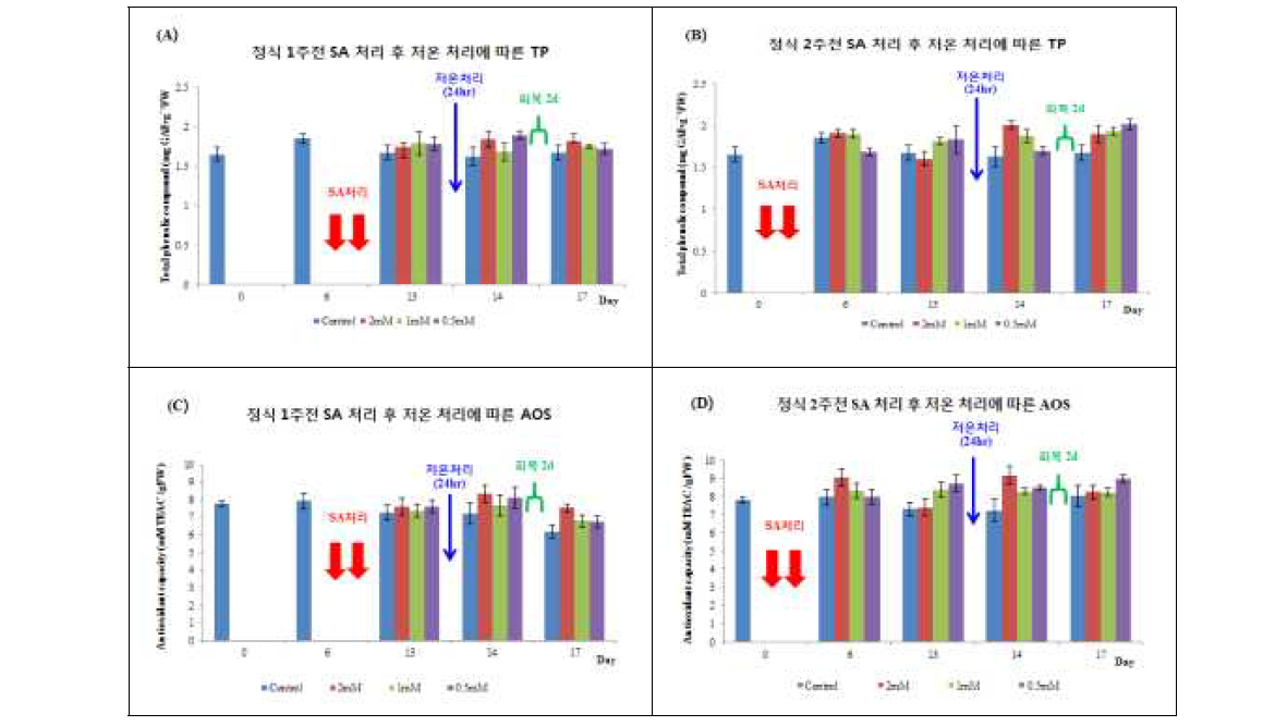 농도별 0.5, 1, 2mM SA 처리에 따른 정식 1주전 총 페놀화합물(A),정식 2주전 총 페놀화합물(B), 정식 1주전 항산화도(C)와 정식 2주전 항산화도(D)