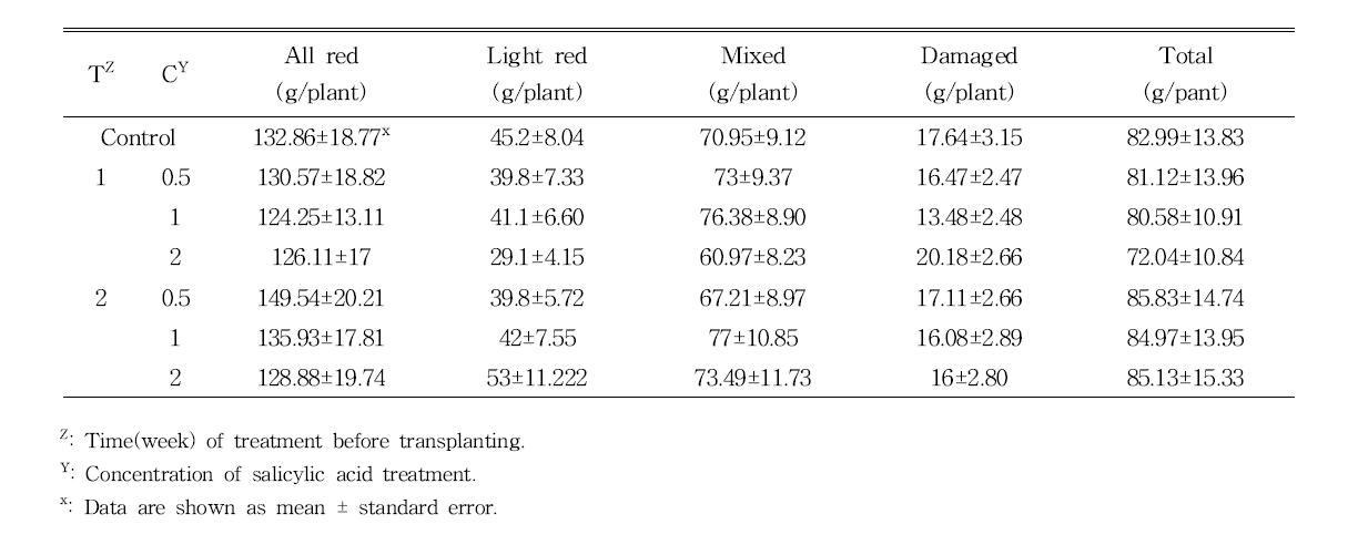 Total fruit yield of pepper plants treated with salicylic acid at 93, 115, and 137 days of transplanting.