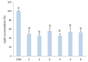 Effect of pepper seed extracts on lipid accumulation (% of control) in differentiated 3T3-L1 adipocyte.