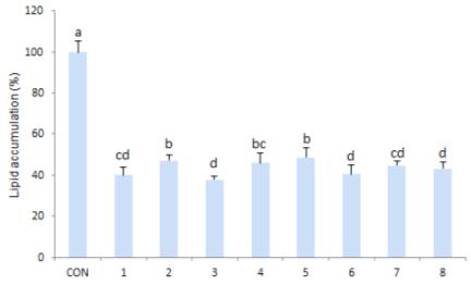 Effect of pepper seed extracts on lipid accumulation (% of control) in differentiated 3T3-L1 adipocyte.